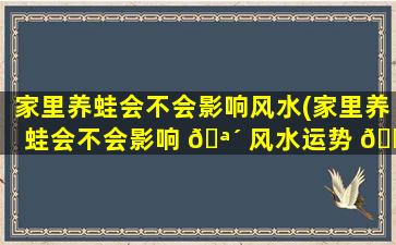 家里养蛙会不会影响风水(家里养蛙会不会影响 🪴 风水运势 🐬 )